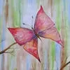 pink butterfly