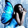 blue fairy