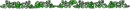 Green Divider