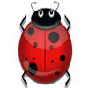 lady bug