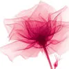 neat pink flower