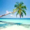 tropical paradise
