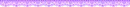 Purple Divider