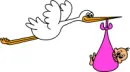 babÃ½ fly home with bird