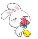 cute bunny