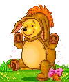 teddy pooh dance