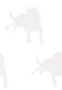 dog_gray