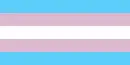 Transgender  Flag
