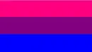 BiSexual Flag