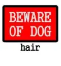 Beware of dog hair