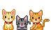 kawaii kitty 
