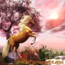 unicorn