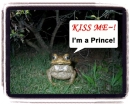 prince