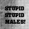stupid