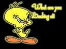 tweety bird