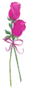 2 hot pink flowers
