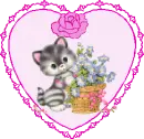 CAT heart
