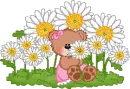 sunflower teddy bear