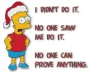 i didnt do it