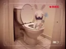 rabbid