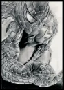 spidey