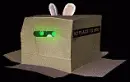 rabbid