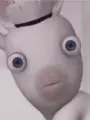rabbid