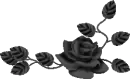 black rose