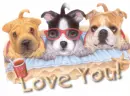 3 dogs that say love you