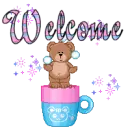 BEAR WELCOME