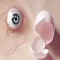 I Egg