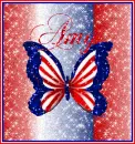 Patriotic butterfly