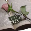 Hello