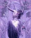 purple fairy