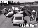 Catzilla