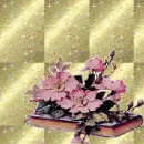 Pink flowers