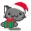 Kitty Gift