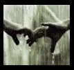 Hold My Hand