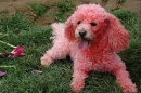 ZoCute!!!
