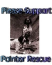 Pointer Rescue