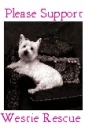 Westie Rescue