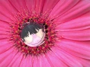akane and ranma love