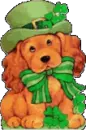 Irish dog