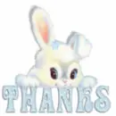 Bunny w/tex
