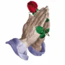 Hands in prayer w/rose