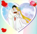 sailor moon married