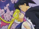 sailor moon and tuxido