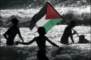 Paestine flag