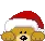 mini bear