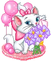 cute kitty